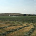 Profile Picture of Bart Hawkins (@bart_hawkins) on Instagram