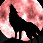 Profile Picture of Glenn Kettler (@kokailahandy) on Instagram