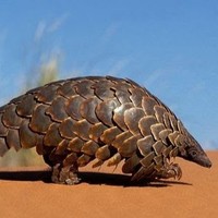 Profile Picture of Andrew Grzybowski (@andrew-grzybowski-1) on Quora