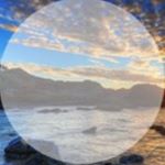 Profile Picture of Harry Trinh-Ngo (@harry_trinhngo) on Instagram