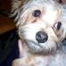 Profile Picture of Jakey Runyon (@jakey.runyon) on Facebook