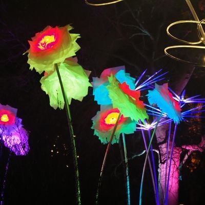 Profile Picture of David Boxall (@DavidBoxall2) on Twitter