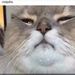 Profile Picture of MABELL PINES (@nancydennisguzmntorres) on Pinterest