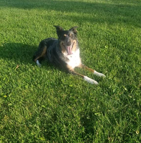 Profile Picture of Jason Sallee (@salleejason1) on Poshmark