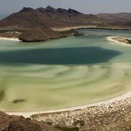 Profile Picture of Pankaj Upadhyay (@338930902) on Myspace