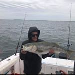 Profile Picture of Eric Dalgleish (@ericdags) on Instagram
