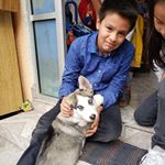 Profile Picture of Ricardo Palmer Castillo (@richardstranger26) on Instagram