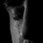 Profile Picture of David Hoch (@david hoch) on Flickr