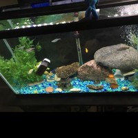 Profile Picture of Winsome Williams (@winsome-williams-7) on Quora