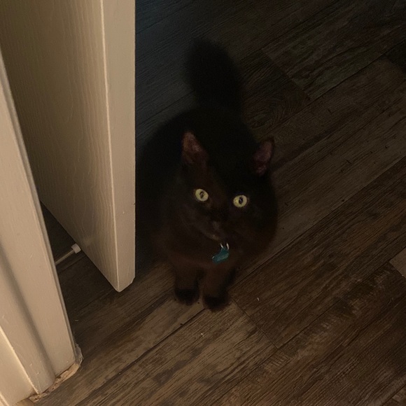 Profile Picture of Riley Rhoton (@r_rhoton) on Poshmark