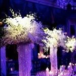 Profile Picture of Donna Crane (@crane2173) on Instagram