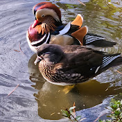 Profile Picture of Ronald Olson (@ronaldolson1258) on Youtube