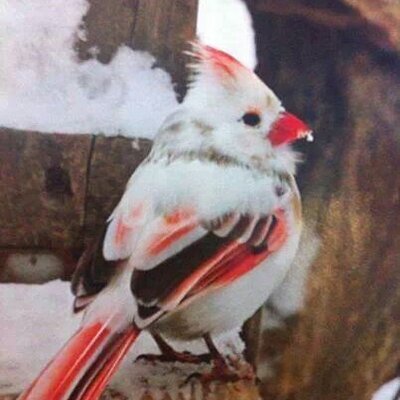 Profile Picture of Deborah Hillier (@dhillie71) on Twitter