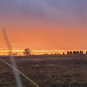 Profile Picture of Randy Phillips (@randyphillips4756) on Youtube