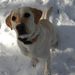 Profile Picture of Jane Walczykowski (@janewalczykowski) on Pinterest