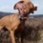 Profile Picture of Mike Spencer (@Mike.Spencer) on Flickr