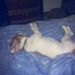 Profile Picture of jason purdy (@jpurdy52) on Pinterest