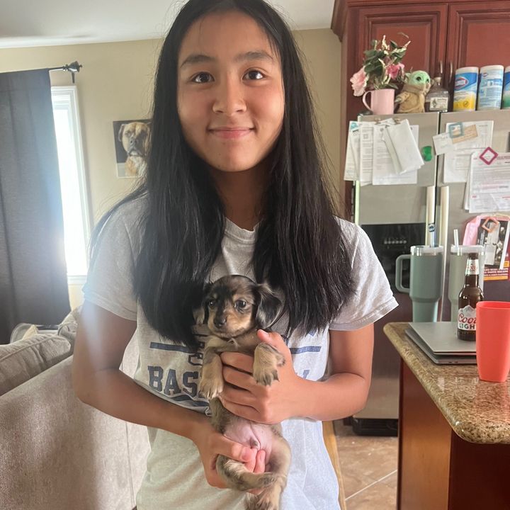 Profile Picture of michelle (@mitchellhosue) on Tiktok