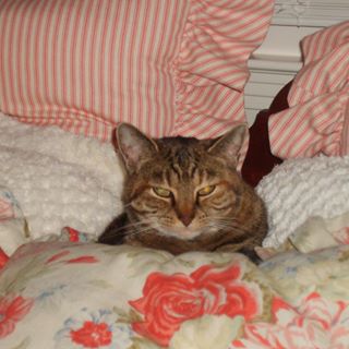 Profile Picture of Martha Hendon Roberts (@martha.roberts.9883) on Facebook