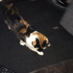 Profile Picture of David Hastie (@david_hastie2018) on Instagram