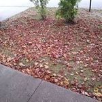 Profile Picture of Larry Fox (@larrylfox.fox) on Instagram