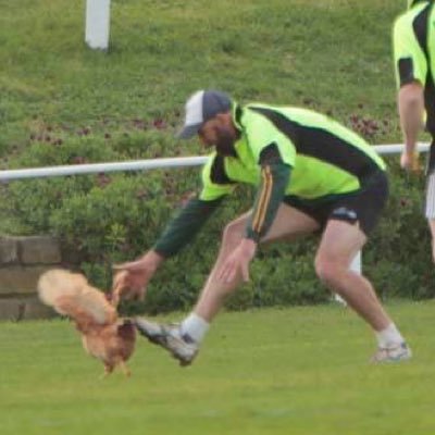 Profile Picture of Josh Reichman (@Joshreichman1) on Twitter