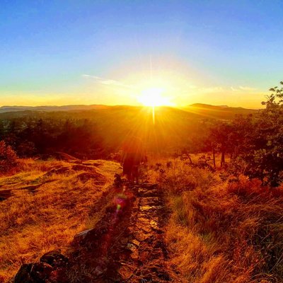 Profile Picture of Stephen J Arriola (@StephenJArriol1) on Twitter