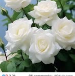 Profile Picture of Anne Koech (@anne.koech.77) on Facebook