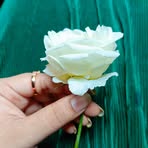 Profile Picture of Khadiza Kabir (@khadiza.kabir.349145) on Facebook