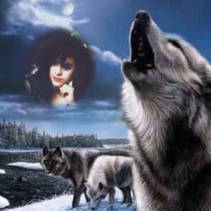 Profile Picture of Paulette Bruce (@raveneagle) on Myspace