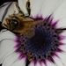 Profile Picture of Lisa Fosnaugh (@lidawnphoto) on Pinterest