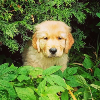 Profile Picture of John Townsend (@johntownsend99) on Twitter