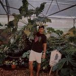 Profile Picture of รักชาติ ยิ่งชีพ (@bbmd_plants) on Instagram