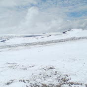 Profile Picture of Jose Saca Quispe (@josesacaquispe8090) on Youtube