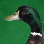 James - Instagram Profile Picture of James (@james_gray_gaskgord) on Instagram