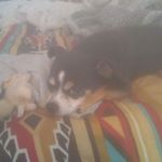 Profile Picture of James Charron (@james.charron.9803) on Instagram