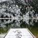 Profile Picture of Paul Borel (@paulborel) on Pinterest