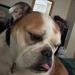 Profile Picture of Debra Kellermann Smith (@debra.kellermannsmith) on Facebook