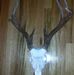 Profile Picture of Daniel Gulledge (@daniel.gulledge.737) on Facebook
