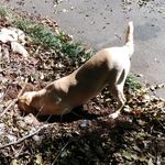 Randy - Instagram Profile Picture of Randy (@tilleyroots) on Instagram