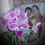 Profile Picture of Liria Litzenberger (@liria.litzenberger) on Facebook