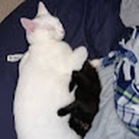 Profile Picture of Kelsey Prior (@kelsey-prior-5) on Quora