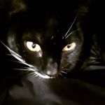 Profile Picture of mario morabito (@morabito669) on Instagram