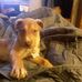 Profile Picture of Mark LoCicero (@mark.locicero.758) on Facebook