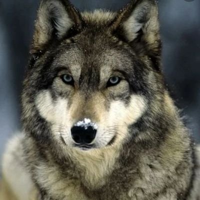 Profile Picture of Juan Piñera (@JuanPiera5) on Twitter