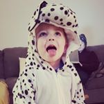 Profile Picture of Sean (but really Silas) McComb (@ispysi) on Instagram