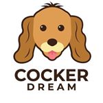 Profile Picture of 🐶COCKER SPANIEL DREAM🐕 (@cocker_dream) on Instagram