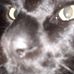 Profile Picture of Raymon Clutter (@raymon.clutter.9) on Facebook