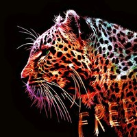 Profile Picture of Mickey Owens (@mickey-owens-5) on Quora