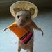 Profile Picture of Berry McKockiner (@berrymckockiner) on Pinterest